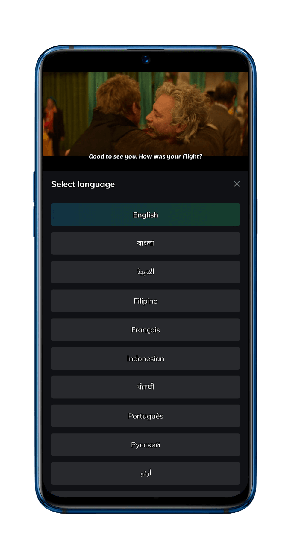 Multilingual Subtitles Support