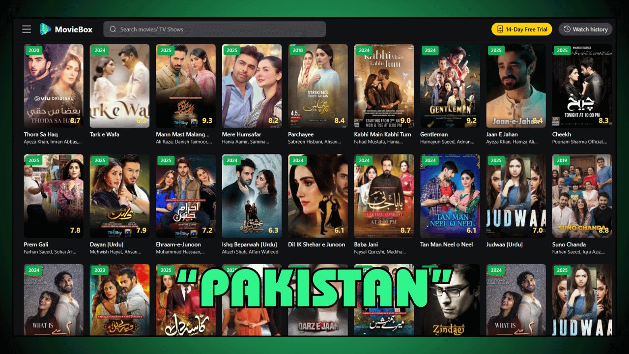 Pakistani Films & Dramas